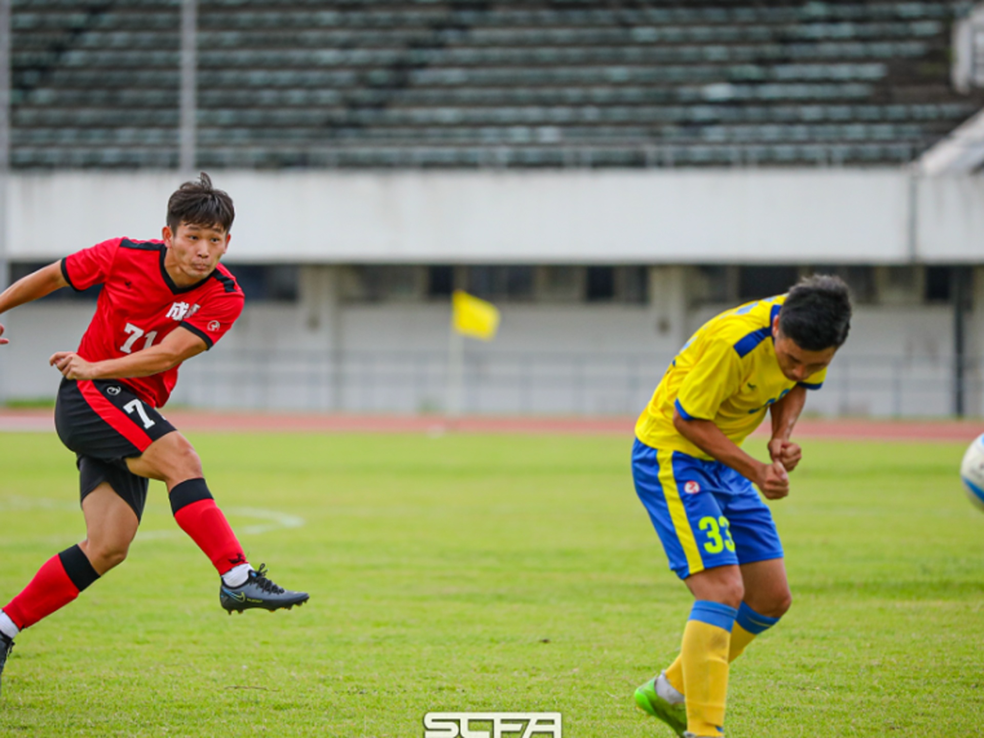 nba开局融合篮球之神