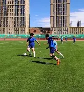 足球职业联赛进球排名